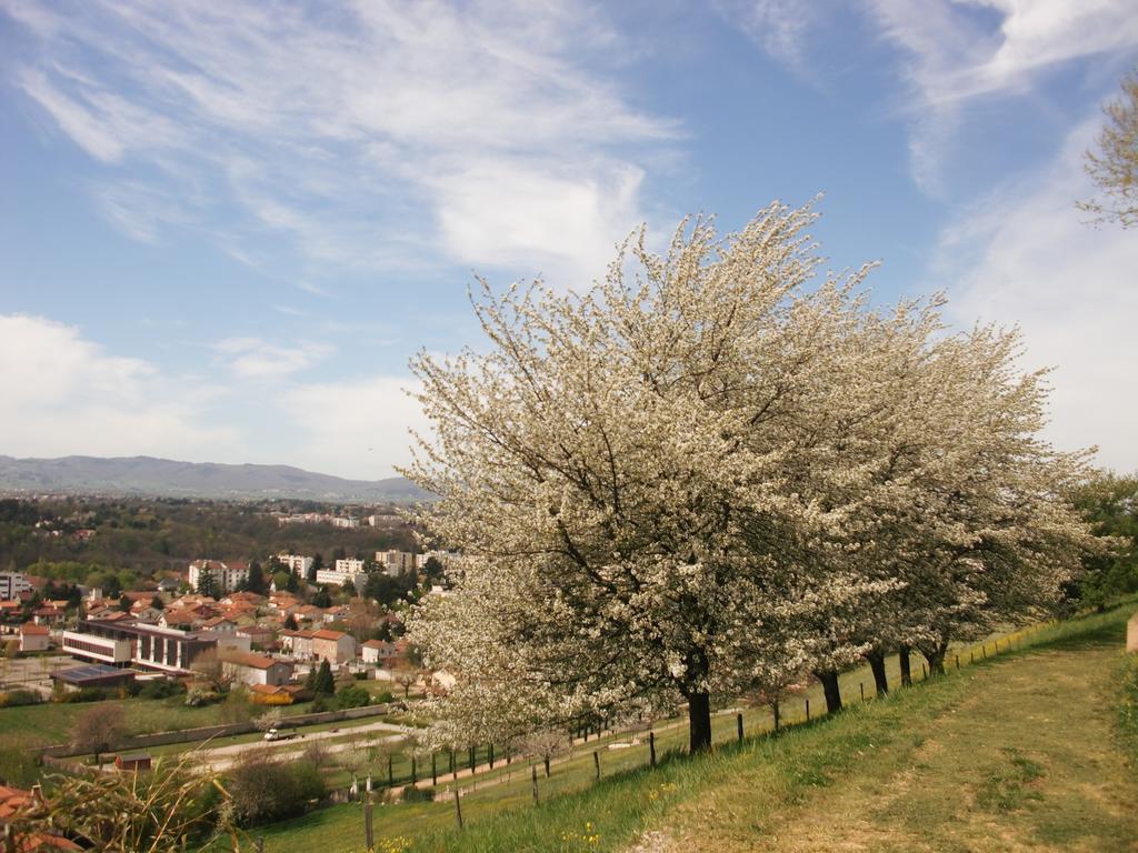 Domaine Lyon Saint Joseph Sainte-Foy-lès-Lyon Exterior foto